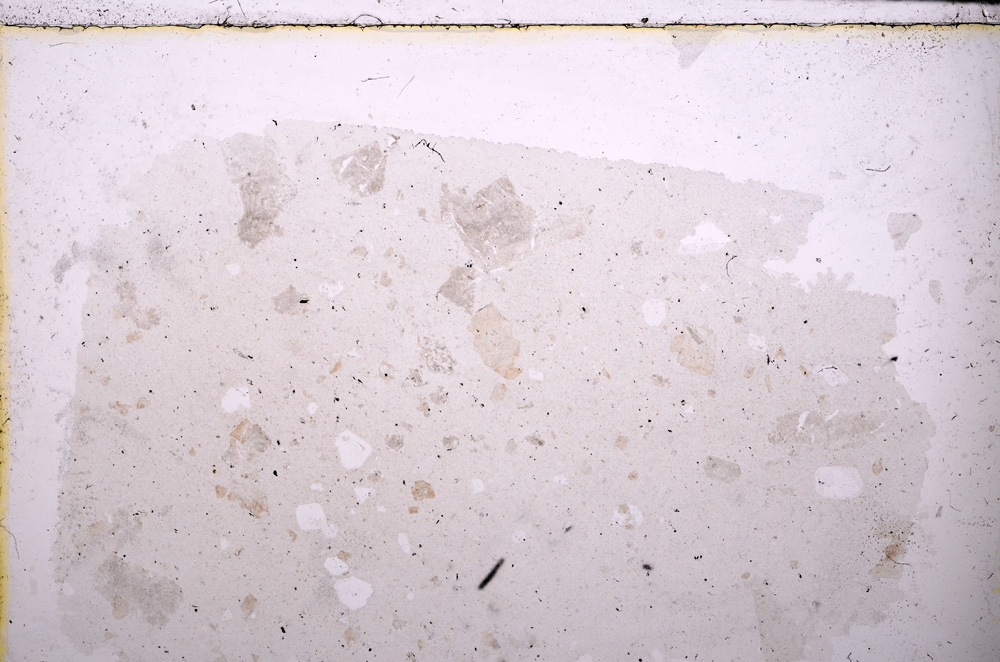 Plane Polarized, E25561