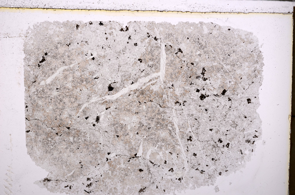 Plane Polarized, E25565