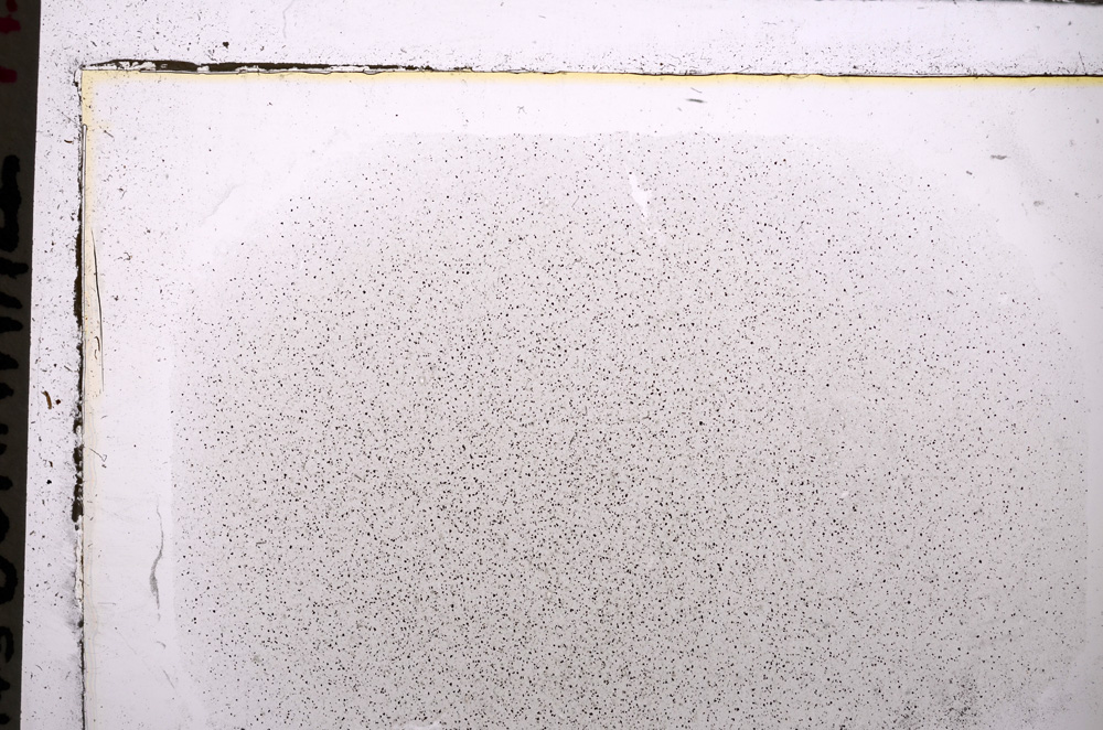 Plane Polarized, E25570