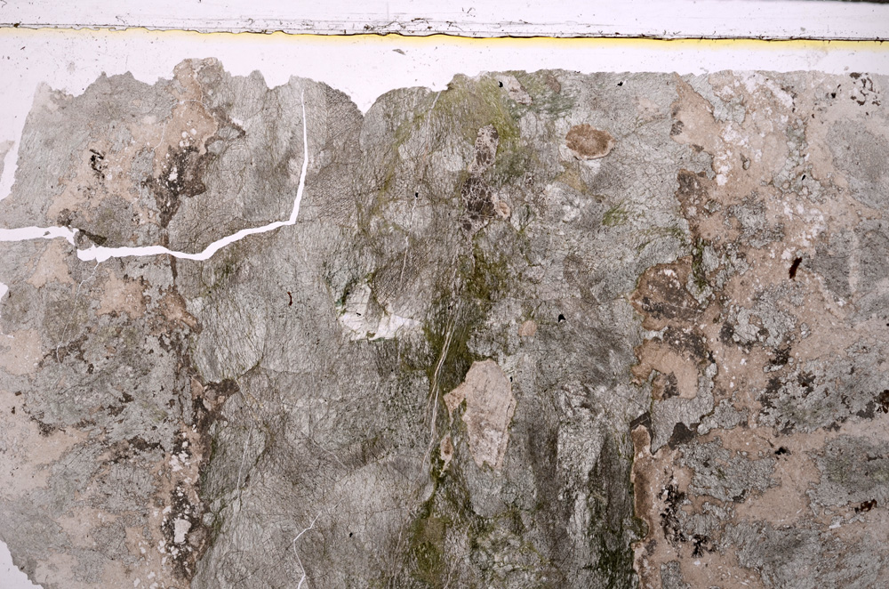 Plane Polarized, E25572