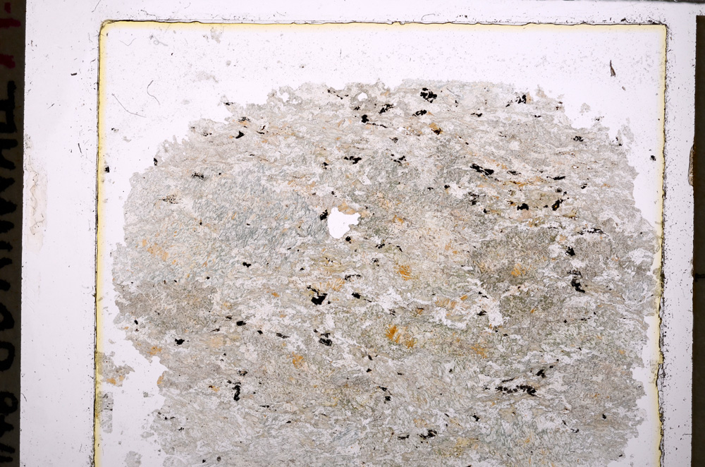 Plane Polarized, E25573