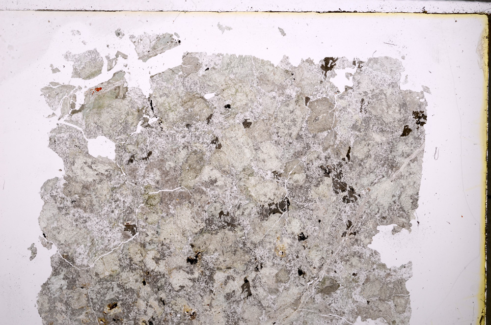 Plane Polarized, E25574