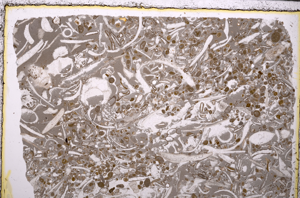 Plane Polarized, E25642