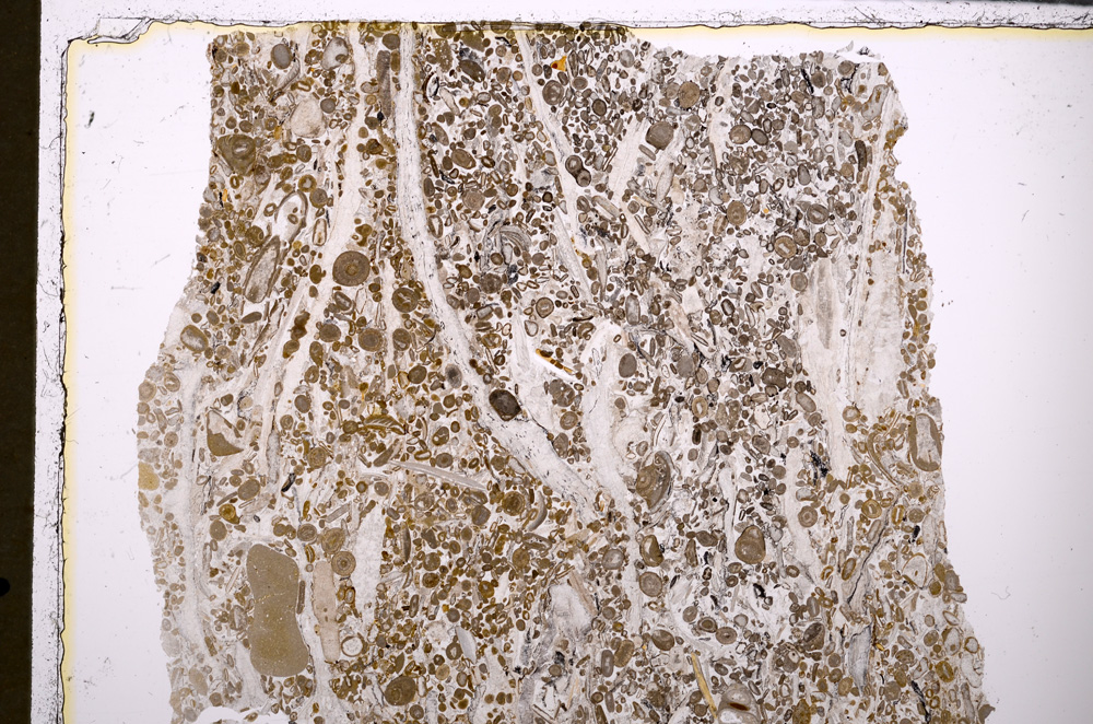 Plane Polarized, E25645