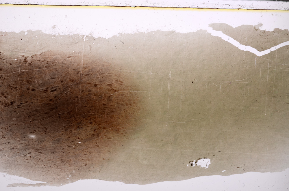 Plane Polarized, E25746