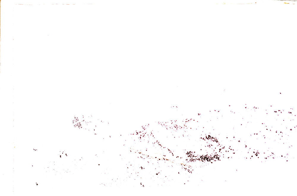 Plane Polarized, E25861