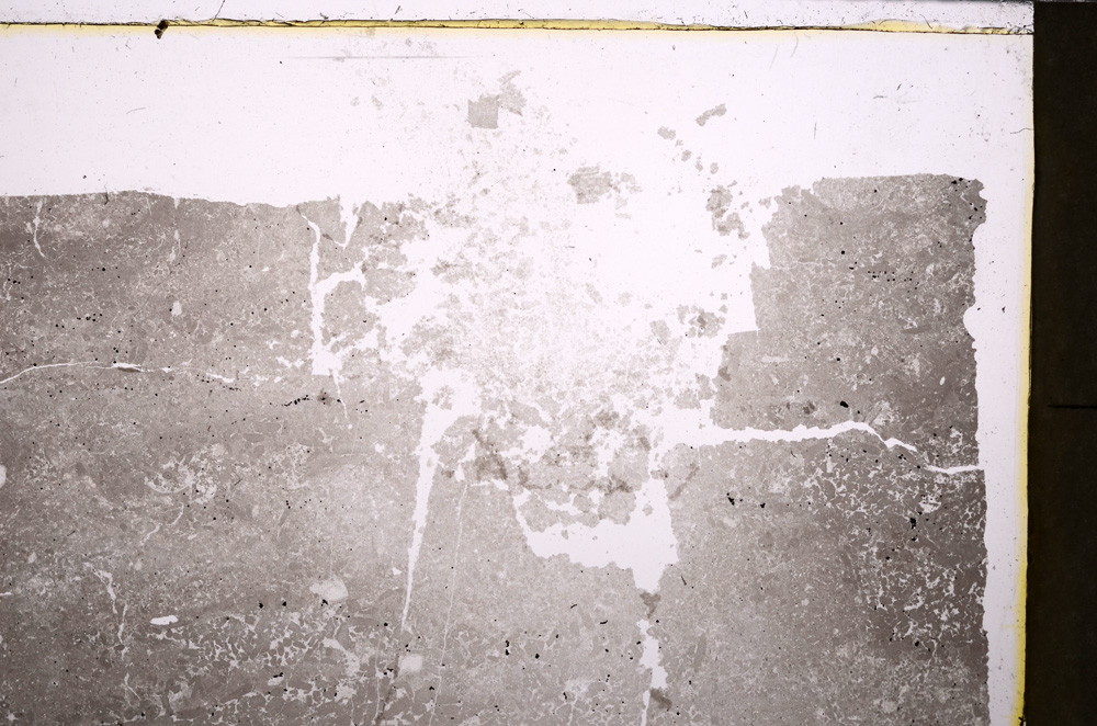 Plane Polarized, E25866