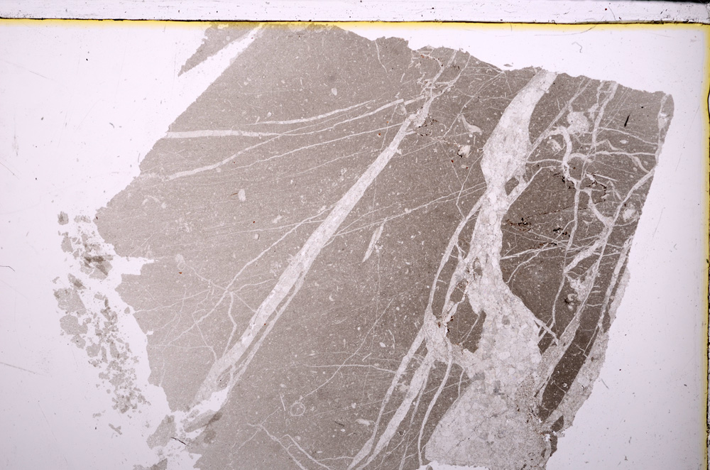 Plane Polarized, E26088