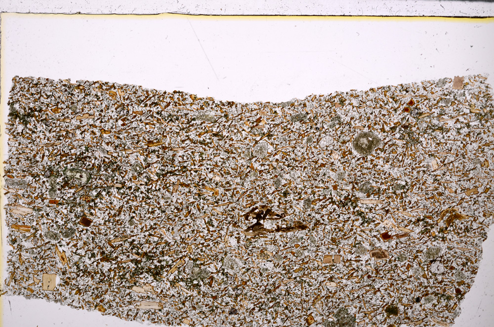 Plane Polarized, E26206