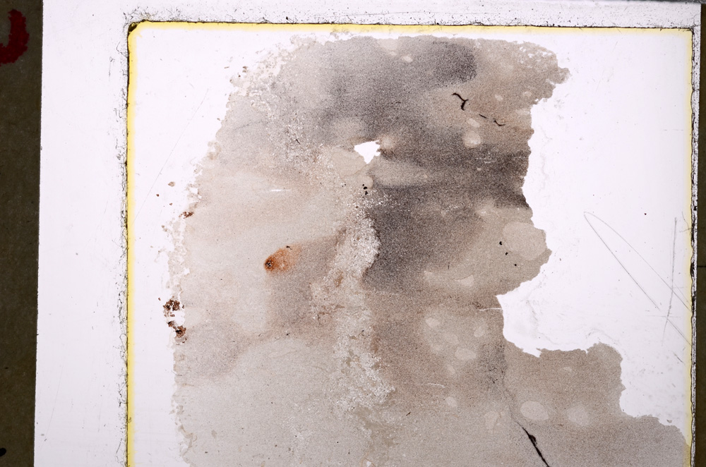 Plane Polarized, E26233