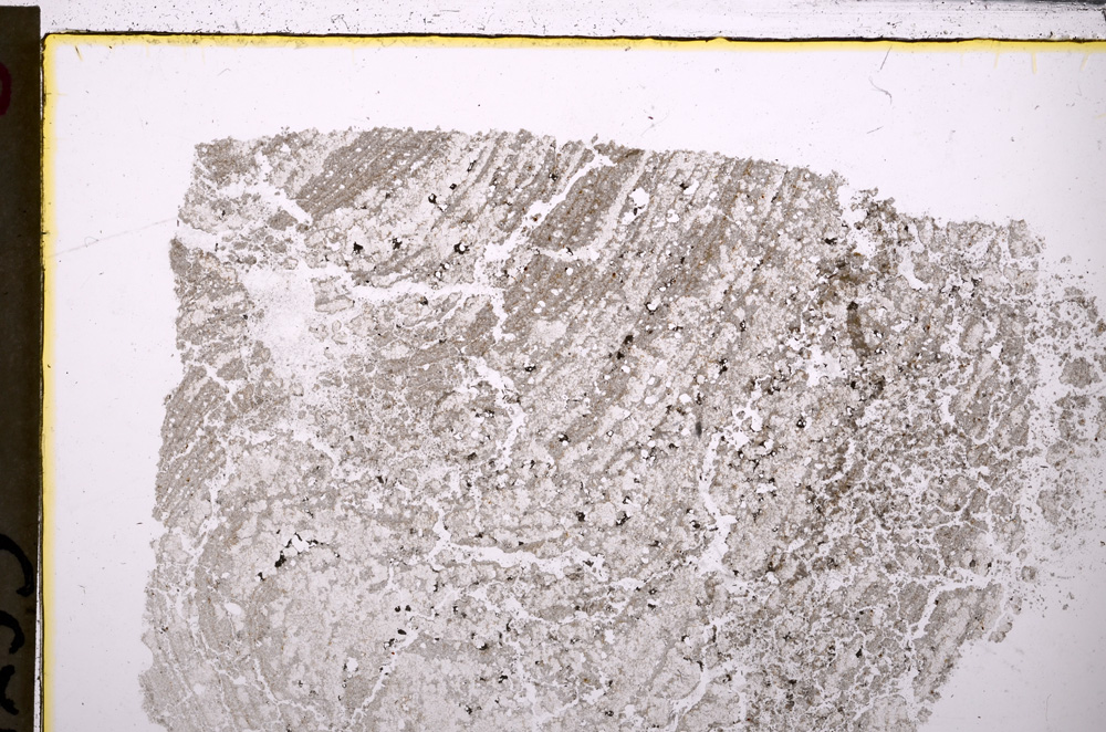 Plane Polarized, E26238