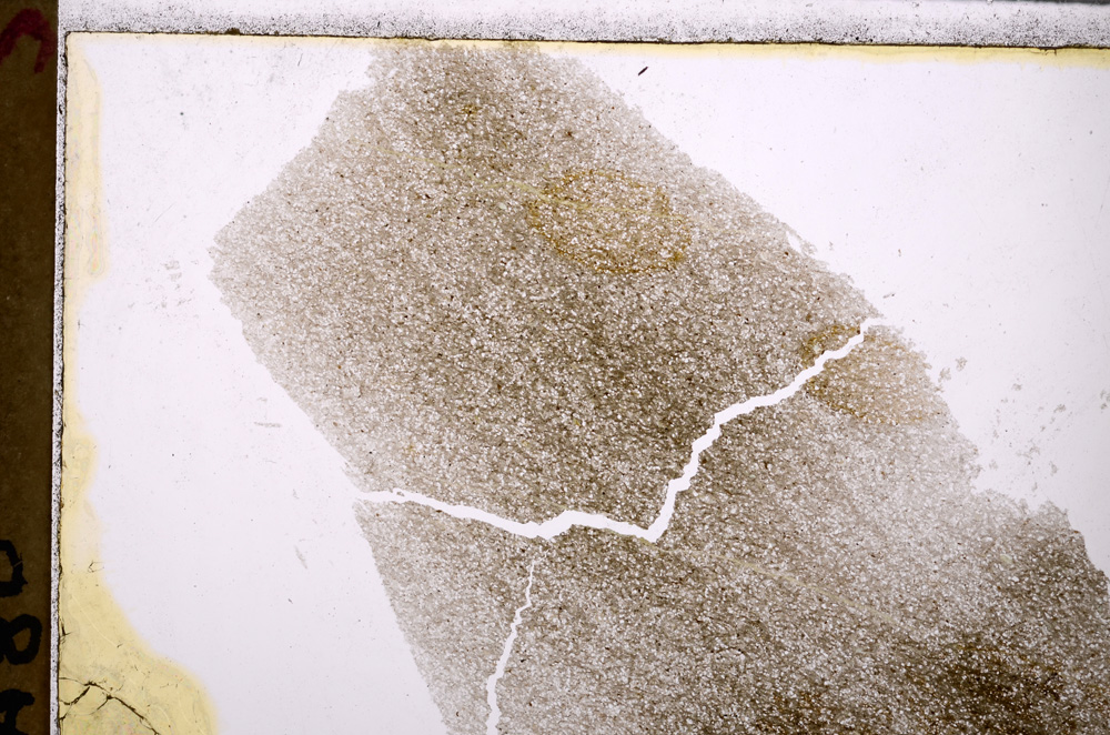 Plane Polarized, E26274