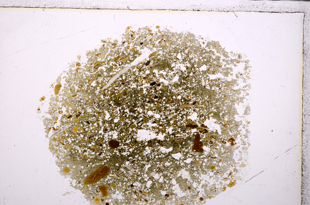 Plane Polarized, E26292