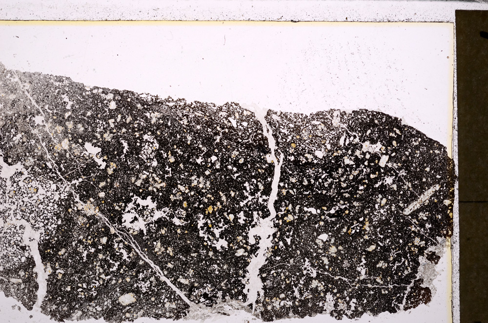 Plane Polarized, E26352