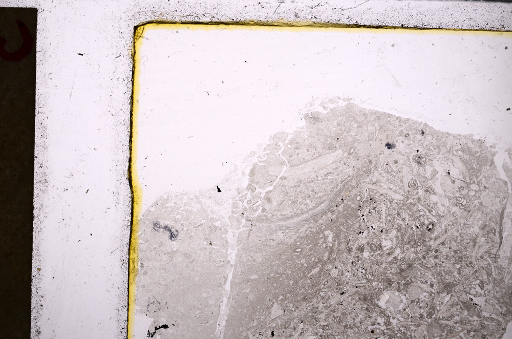 Plane Polarized, E26421