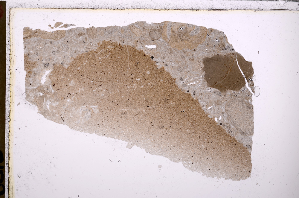 Plane Polarized, E26491