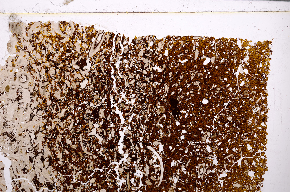 Plane Polarized, E26544