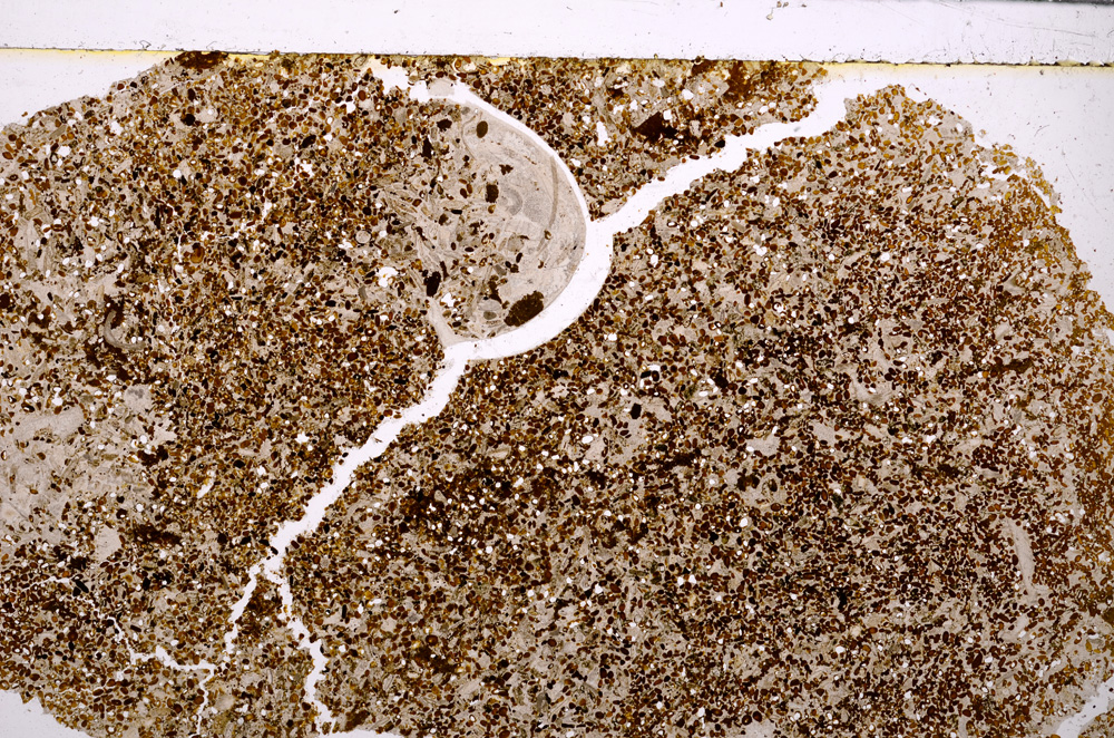 Plane Polarized, E26546