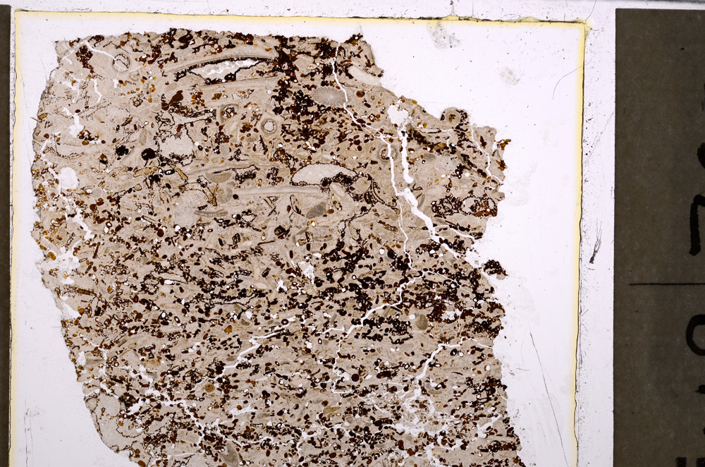 Plane Polarized, E26547