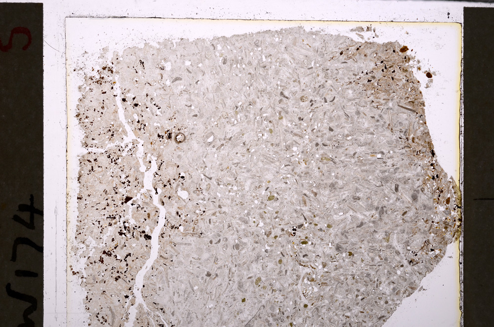 Plane Polarized, E26548