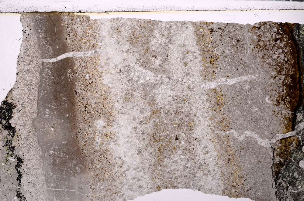 Plane Polarized, E26560
