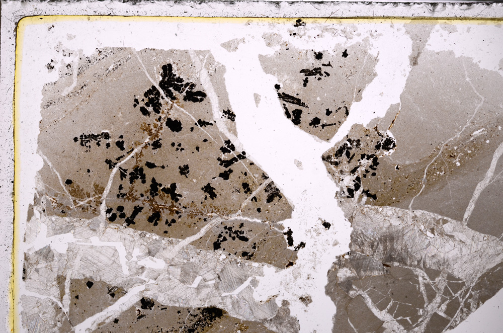 Plane Polarized, E26569