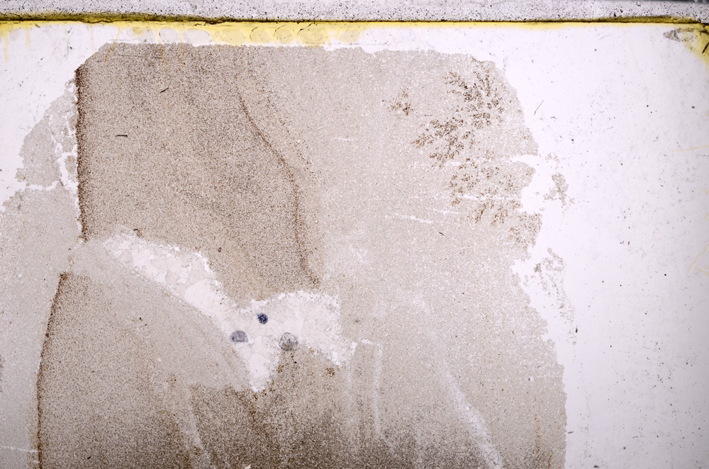 Plane Polarized, E26574