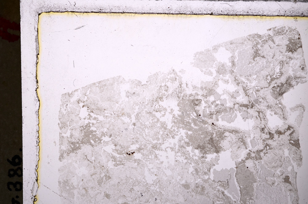 Plane Polarized, E26576