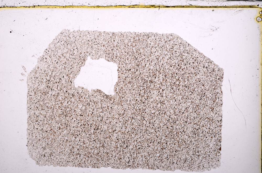 Plane Polarized, E26583