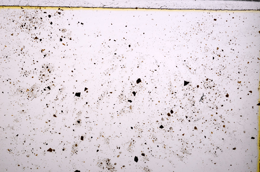 Plane Polarized, E26590