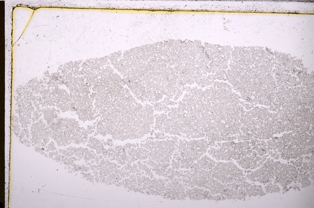 Plane Polarized, E26594
