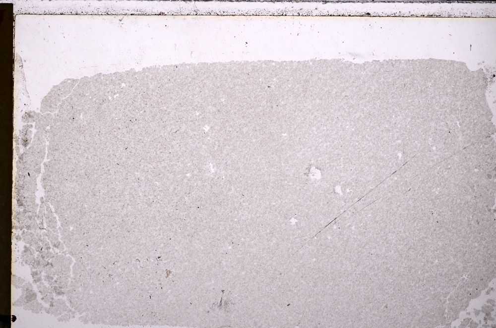 Plane Polarized, E26598