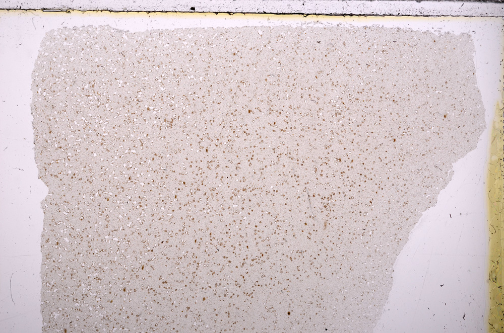 Plane Polarized, E26617