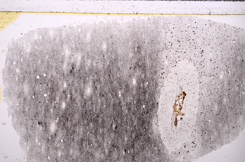 Plane Polarized, E26621