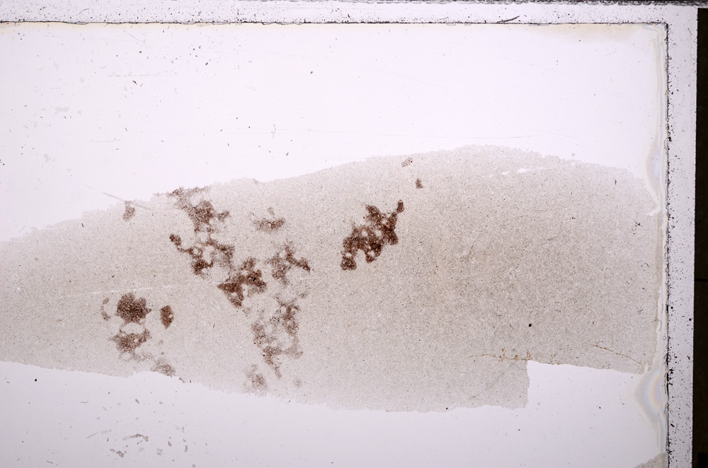 Plane Polarized, E26626