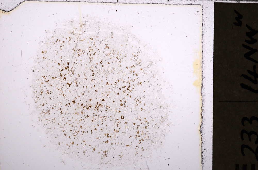 Plane Polarized, E26627