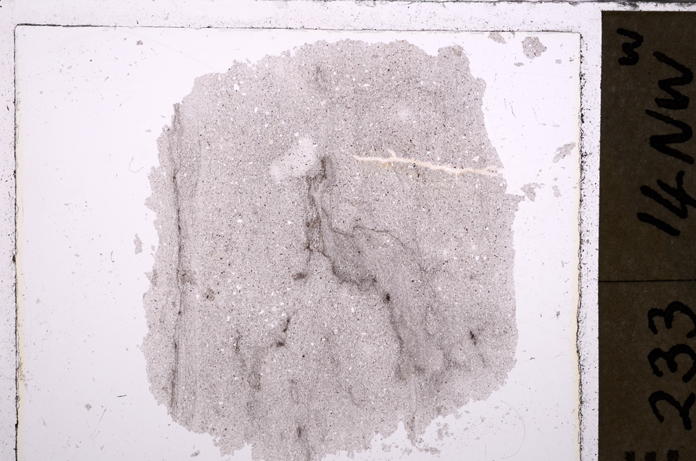 Plane Polarized, E26628