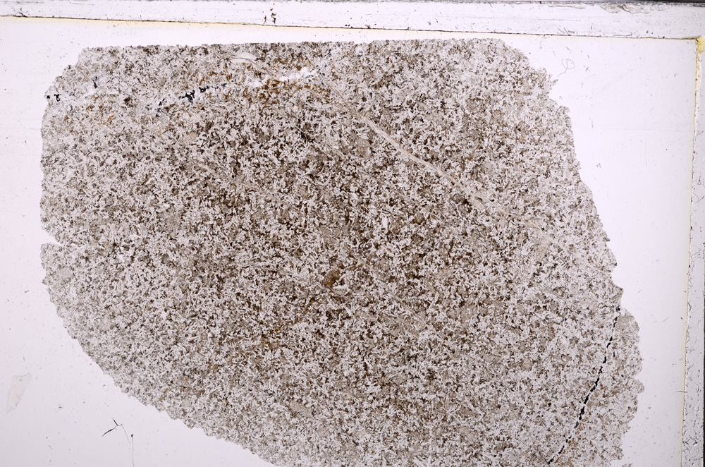 Plane Polarized, E26632