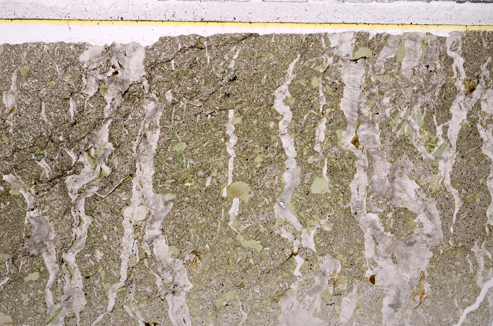 Plane Polarized, E26672