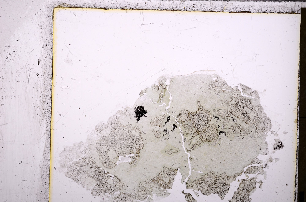 Plane Polarized, E26681