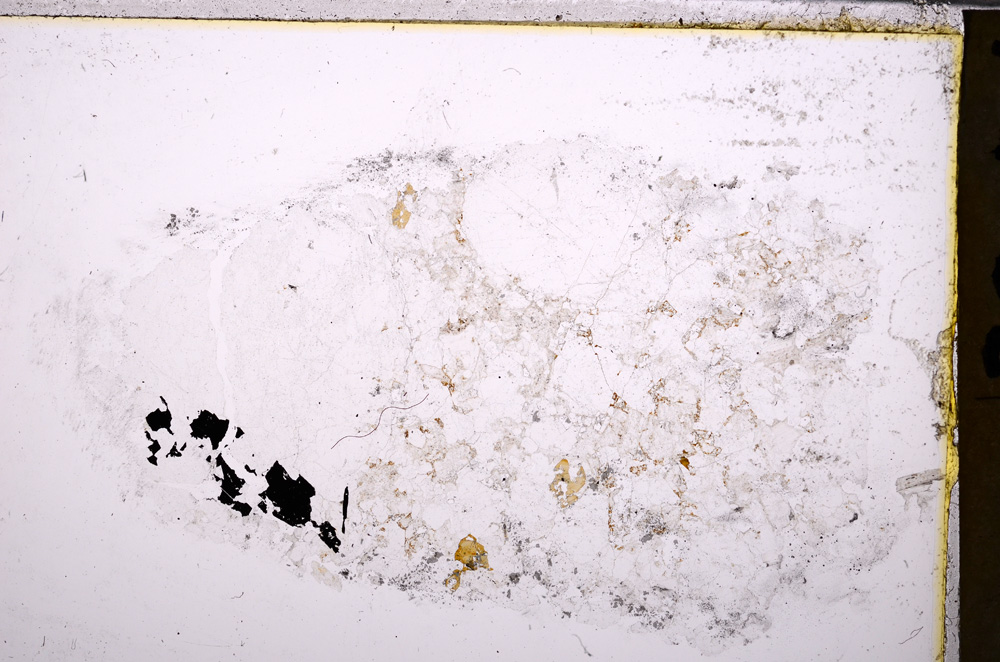Plane Polarized, E26686