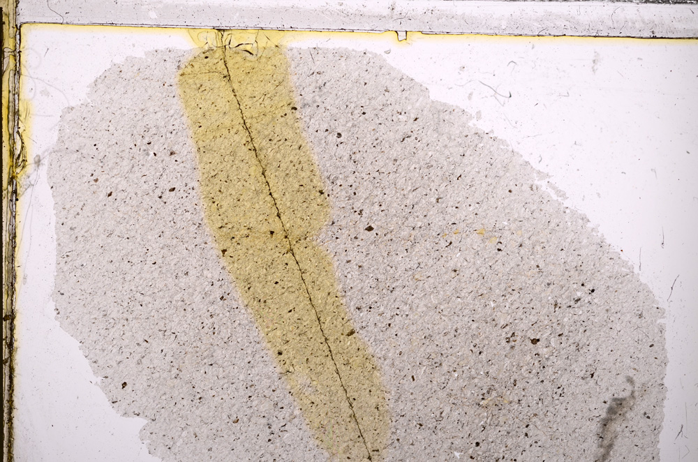 Plane Polarized, E26708
