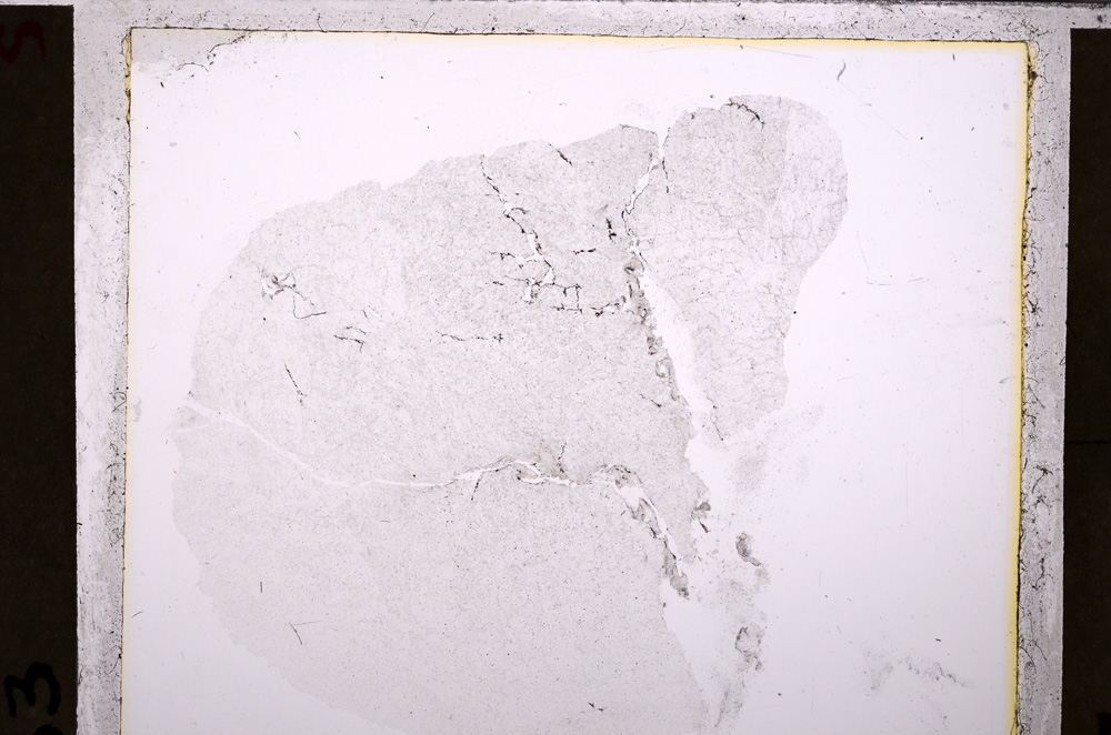 Plane Polarized, E26715