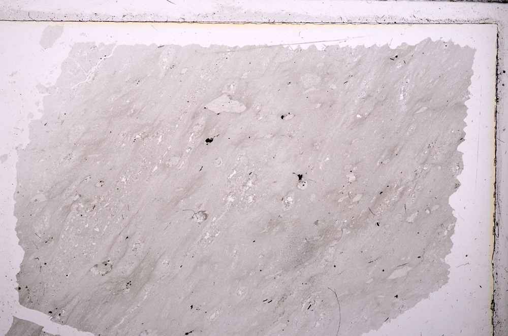 Plane Polarized, E26725