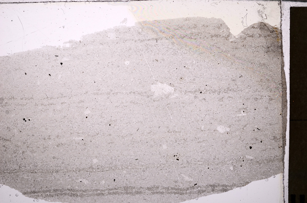 Plane Polarized, E26726