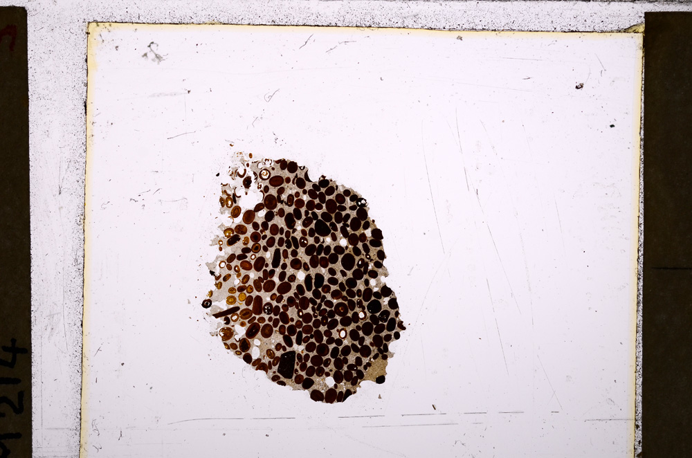 Plane Polarized, E26763