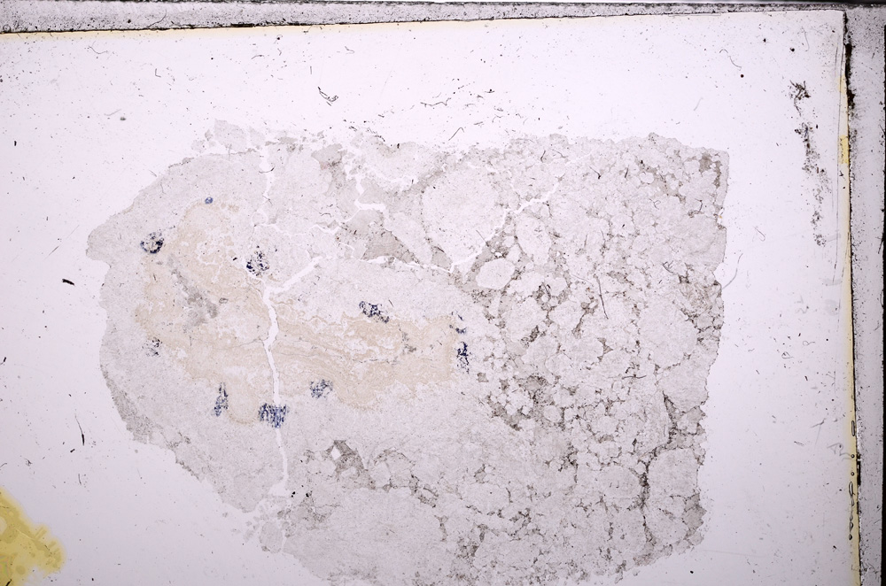 Plane Polarized, E26771