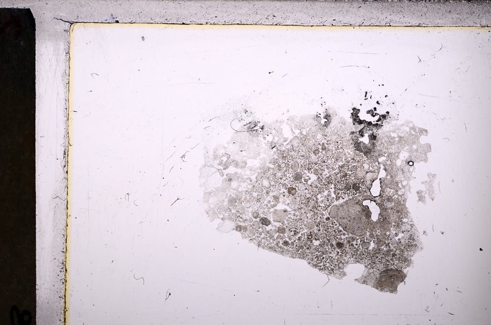 Plane Polarized, E26773