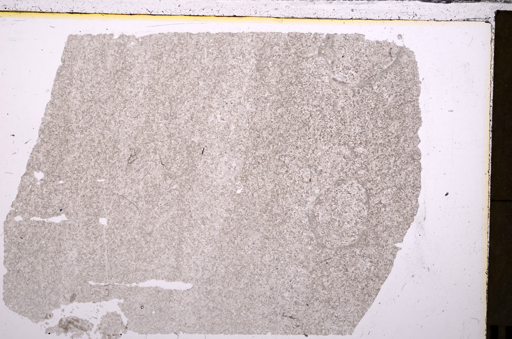 Plane Polarized, E26776