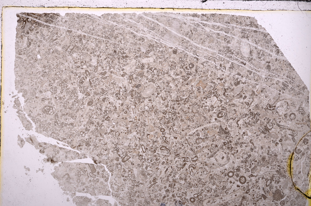 Plane Polarized, E26777